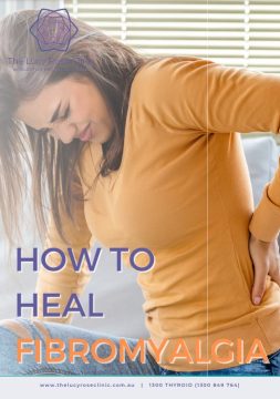 EBook Cover - How to Heal Fibromyalgia