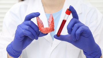 Thyroid Bloodwork
